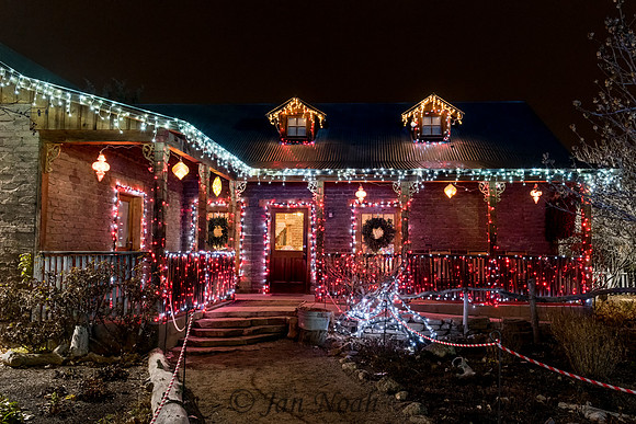 Holiday Lights