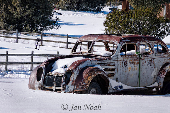 Snow Bound