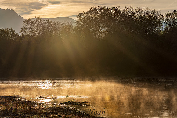 Rio Grande Morning Mist