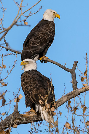 On Watch