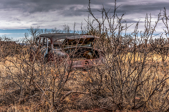 In the Weeds
