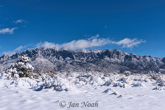 Snow in the Foothills
