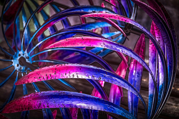 Tangled