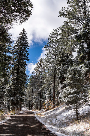 Early Snow
