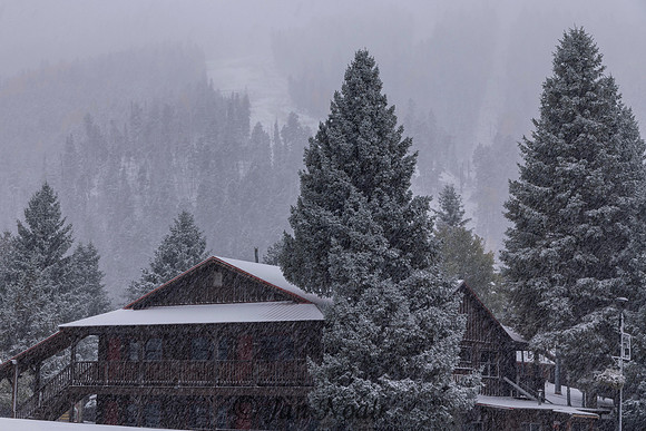 Let It Snow!