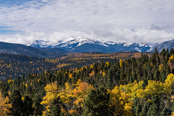Wheeler Peak