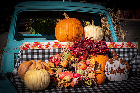 Pumpkin Harvest