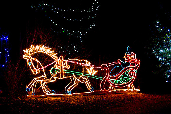 Holiday Sleigh