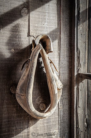 Retired Horse Collar