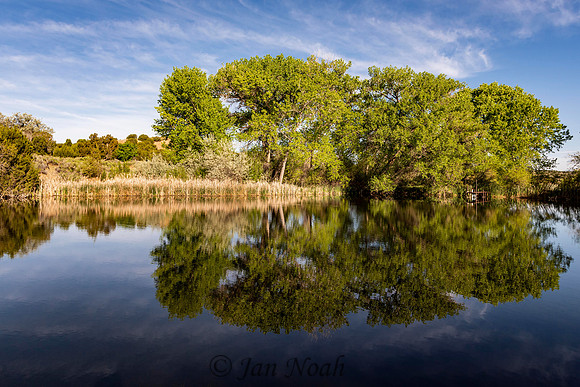 Mirror Reflection