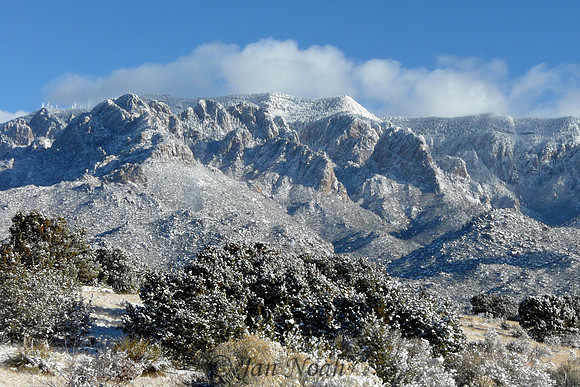 Snow in the Sandia Mountains
