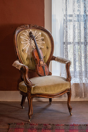 The Violin