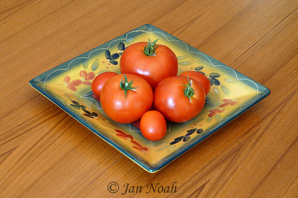 First Crop