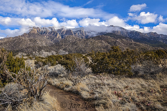 Winter View of the Sandia Mountains