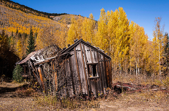 Shack Among Beauty