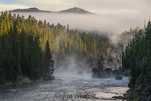 Yellowstone Mist