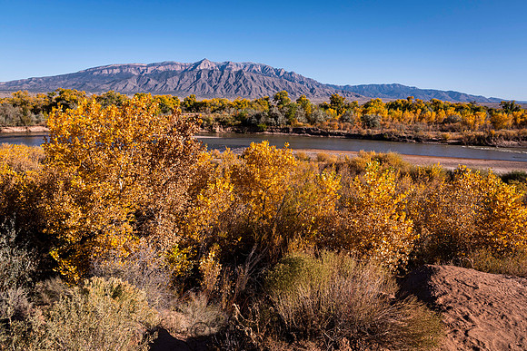 Fall Color on the Rio Grande