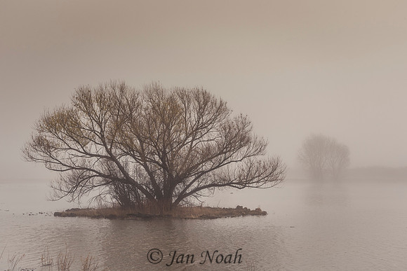 Foggy Start to the Day
