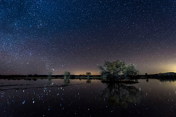 Starry Night