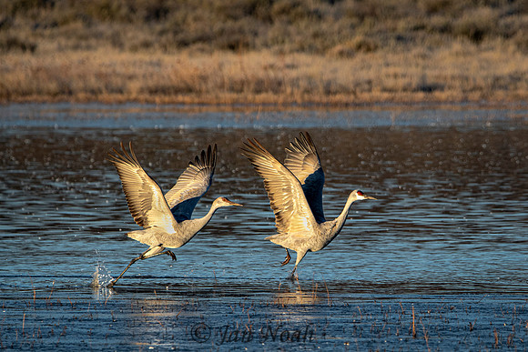 In Sync