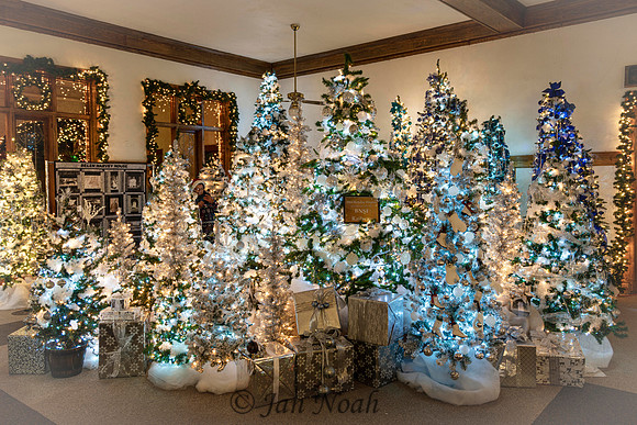 Christmas Trees at the Harvey House