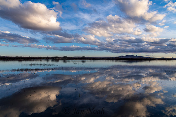 Mirror Reflection
