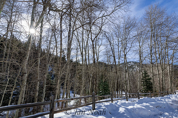 Santa Fe National Forest