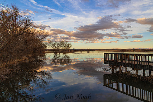 Reflections