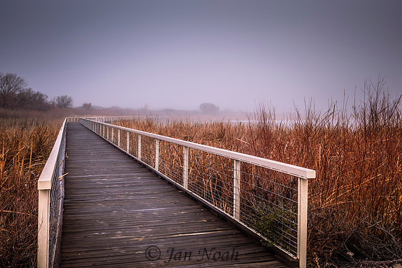 Bosque Boardwalk