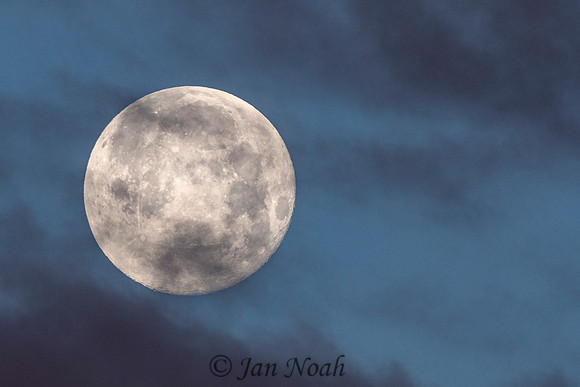 "Worm" Full Moon
