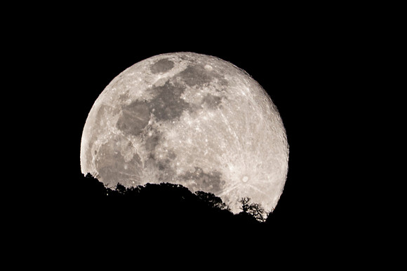Full Moon Rising