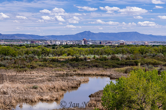 Downtown Albuquerque