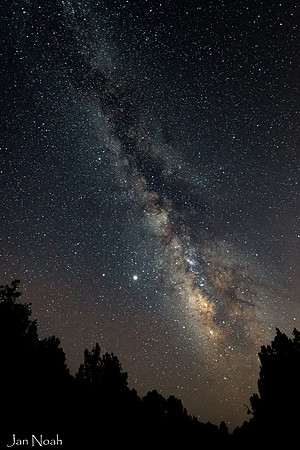 Summer Milky Way