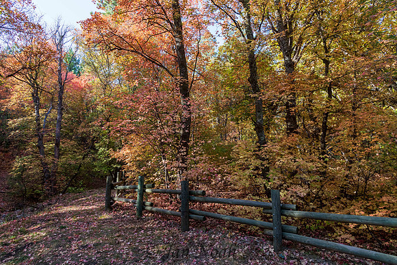 Fall is Here