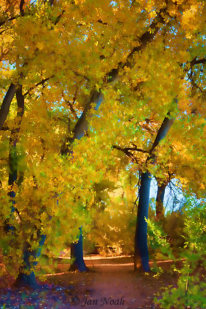 Fall Dreams