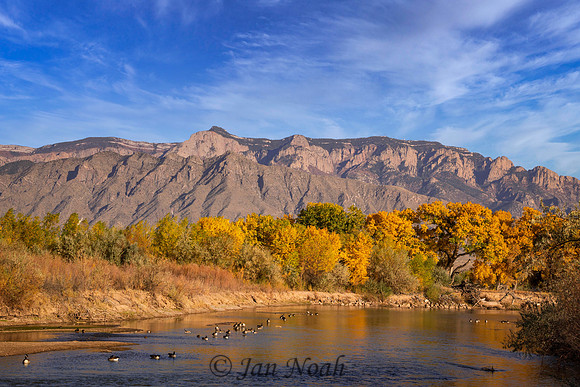 Fall Afternoon
