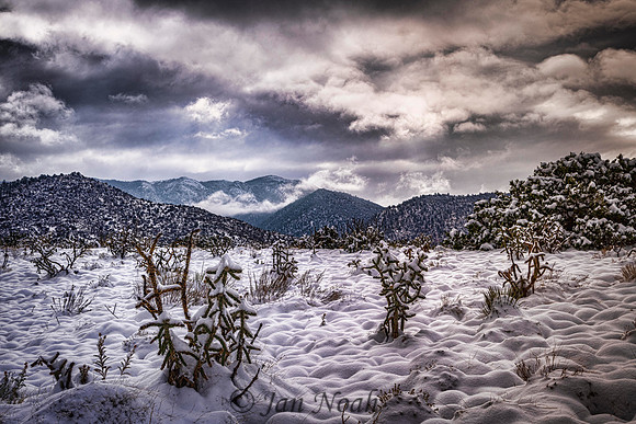 October Snow