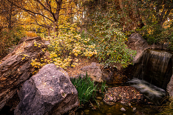 Afternoon at the Biopark