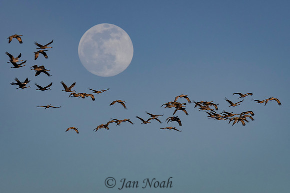 Lunar Fly By