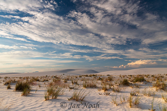 White Sands View