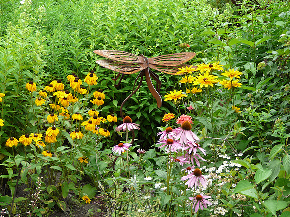 Liz's Garden