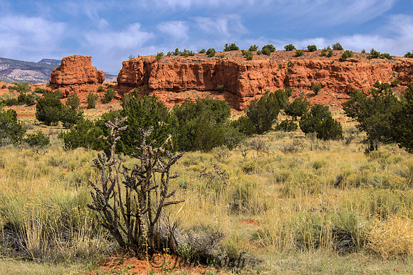 Jemez Red Rocks