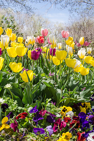 Spring Mix