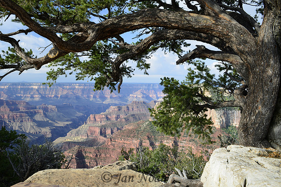 Morning View at the North Rim