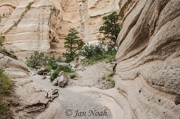 Tent Rocks