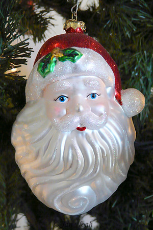 Santa