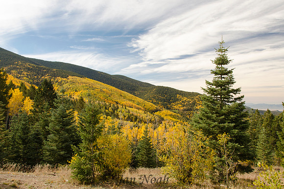Aspen Vista