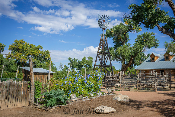 A Morning at the Farm